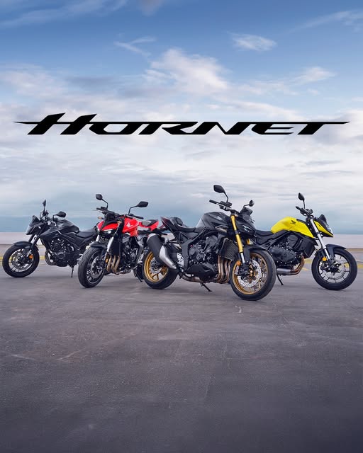 Pour quelle HONDA HORNET allez vous craquer